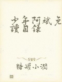 少年阿斌免费阅读目录