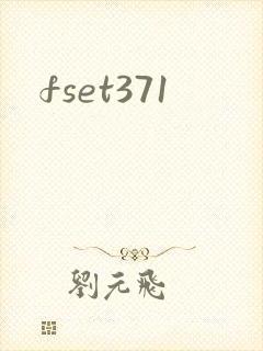fset371