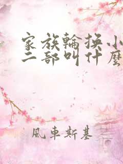家族轮换小说第二部叫什么名字