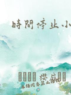 时间停止小说