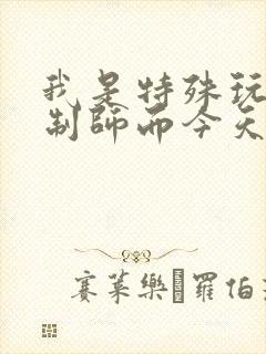 我是特殊玩具定制师而今天的客户