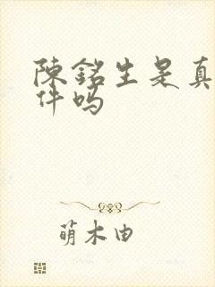 陈铭生是真实事件吗