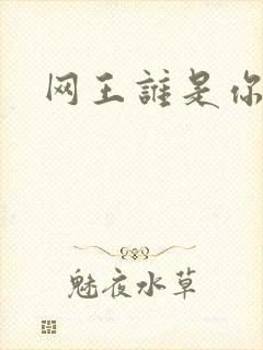 网王谁是你老婆