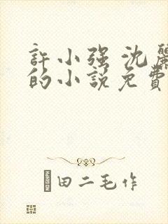 许小强 沈丽娟的小说免费阅读