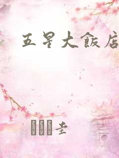 五星大饭店小说