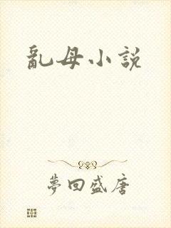乱母小说