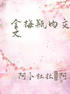 金梅瓶肉交白话文