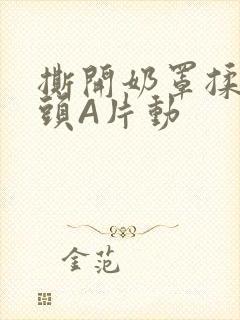 撕开奶罩揉吮奶头A片动