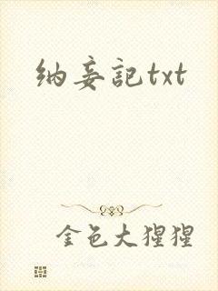 纳妾记txt