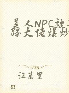 美人NPC被各路大佬爆炒小说