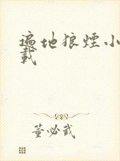 遍地狼烟小说下载