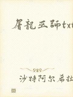屠龙巫师txt