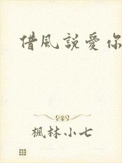 借风说爱你