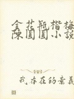 金花瓶楷梅花2陈圆圆小说