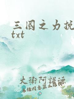 三国之力挽狂澜txt