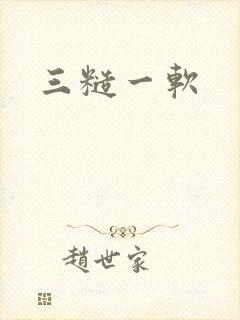 三糙一软
