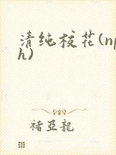 清纯校花(nph)