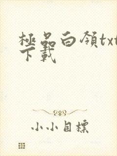 极品白领txt下载