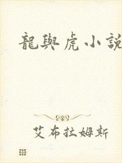龙与虎小说