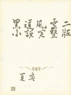 黑道风云二十年小说完整版