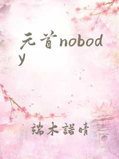 元首nobody