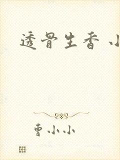 透骨生香 小说