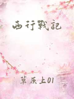 西行战记