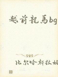 越前龙马bg