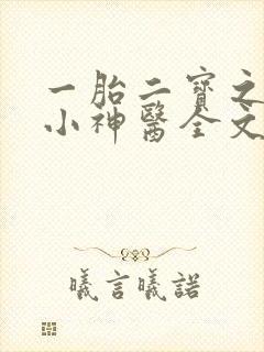 一胎二宝之弃妃小神医全文免费阅读