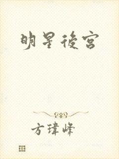 明星后宫