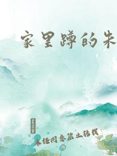 家里蹲的朱教授