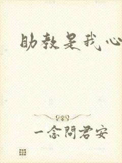 助教是我心尖宠