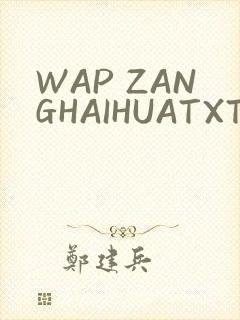 WAP ZANGHAIHUATXT