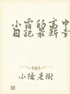 小霜的高中成长日记最新章节