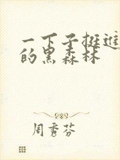 一下子挺进浓密的黑森林