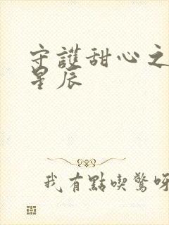 守护甜心之暗夜星辰