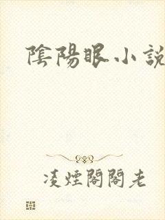 阴阳眼小说