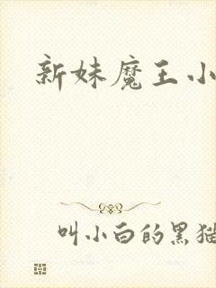 新妹魔王小说