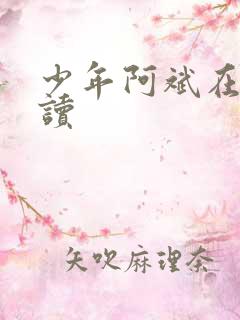 少年阿斌在线阅读