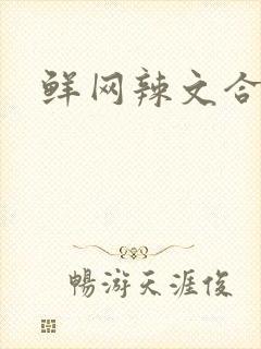 鲜网辣文合集