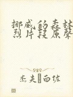 挪威的森林的激烈片段原声