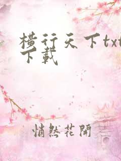 横行天下txt下载