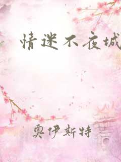 情迷不夜城