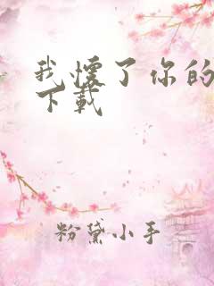 我怀了你的孩子下载