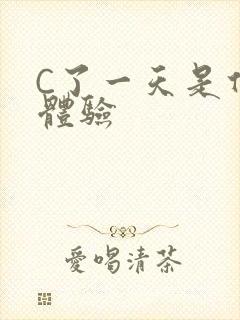 C了一天是什么体验