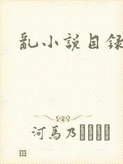 乱小说目录全文