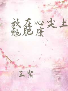 放在心尖上七猫勉肥康