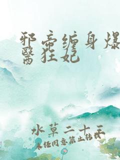 邪帝缠身爆宠神医狂妃