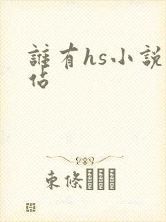 谁有hs小说网站