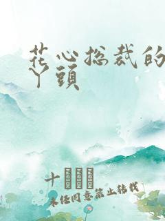 花心总裁的小小丫头